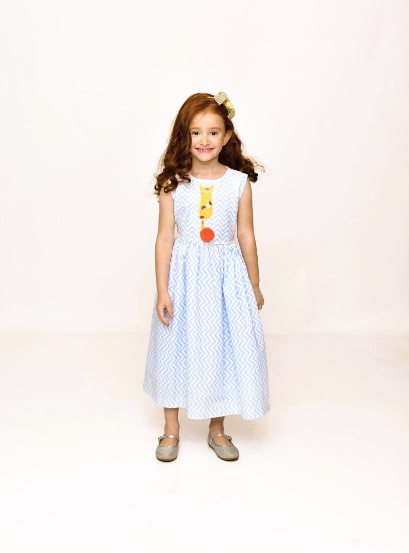 Vestido Chevron | Gatinho Laranja