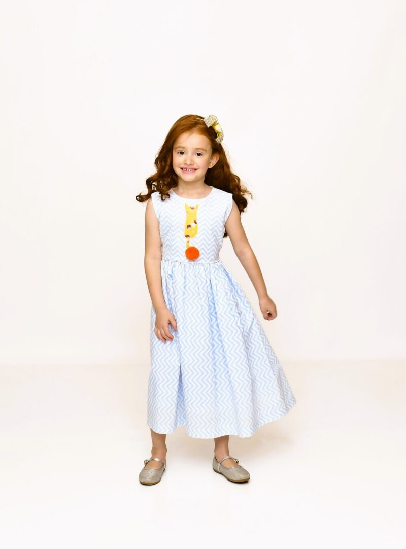 Vestido Chevron | Gatinho Laranja